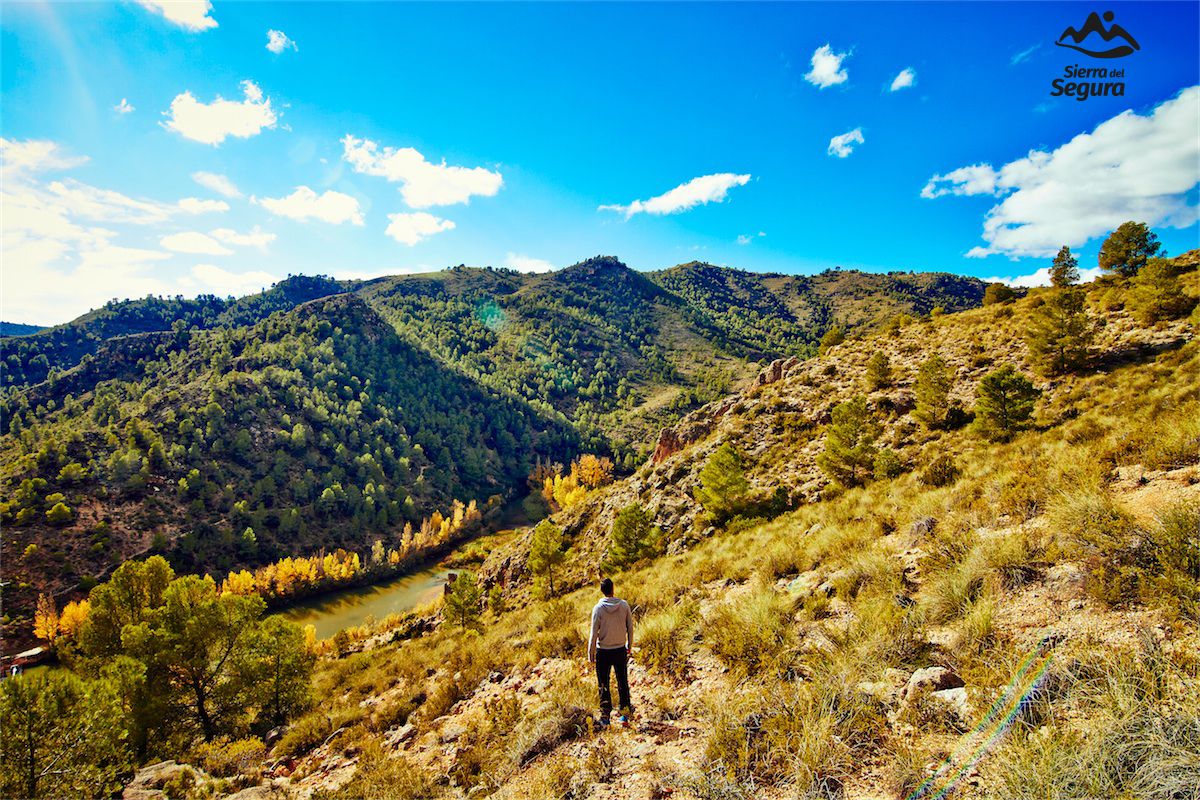 Sierra del Segura tweet media