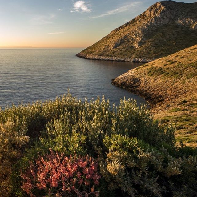 PortoKaleHotel's tweet photo. Views to take back home with you! Sunset time at Porto Kagio, Mani Peninsula in the Peloponnese, Greece --- #PortoKale Guesthouse | Bookings at https://t.co/eqht44u4OT (link in bio)

#portokagio #manipeninsula #manilakonia
#grece #mediterraneo #slowtravel #landschaftfotografie … https://t.co/PAP2sMe8yc