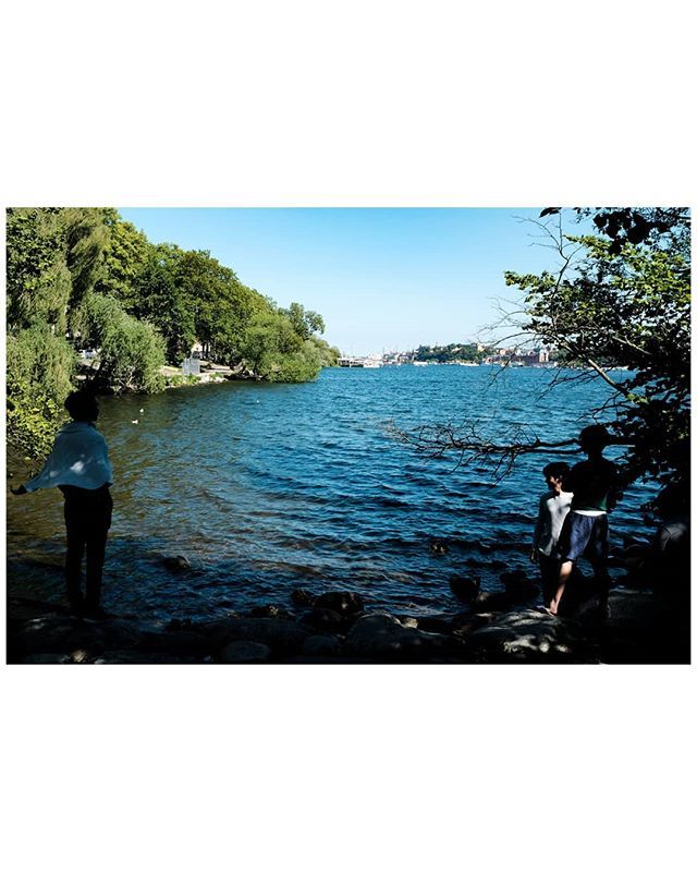 ffffffffffffffff tweet media