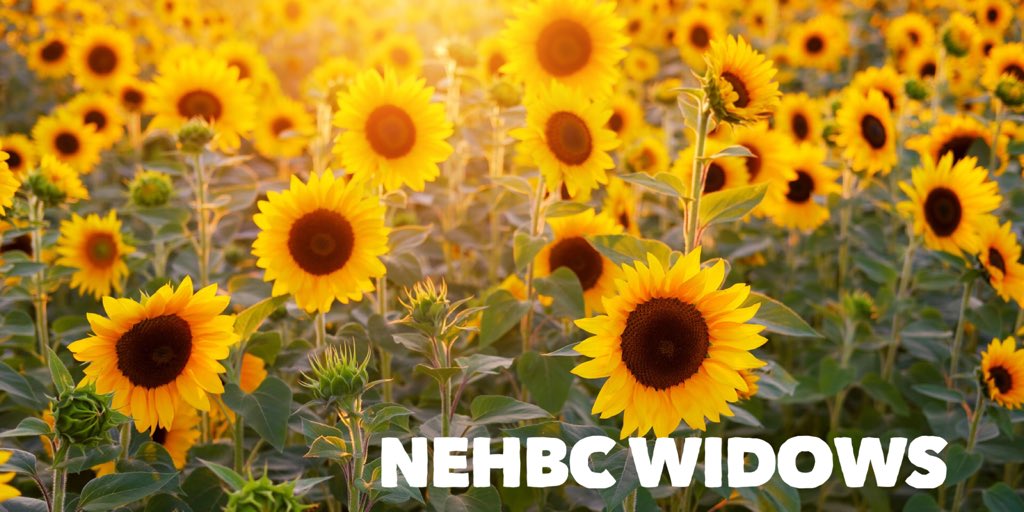 Nathan Lino tweet media