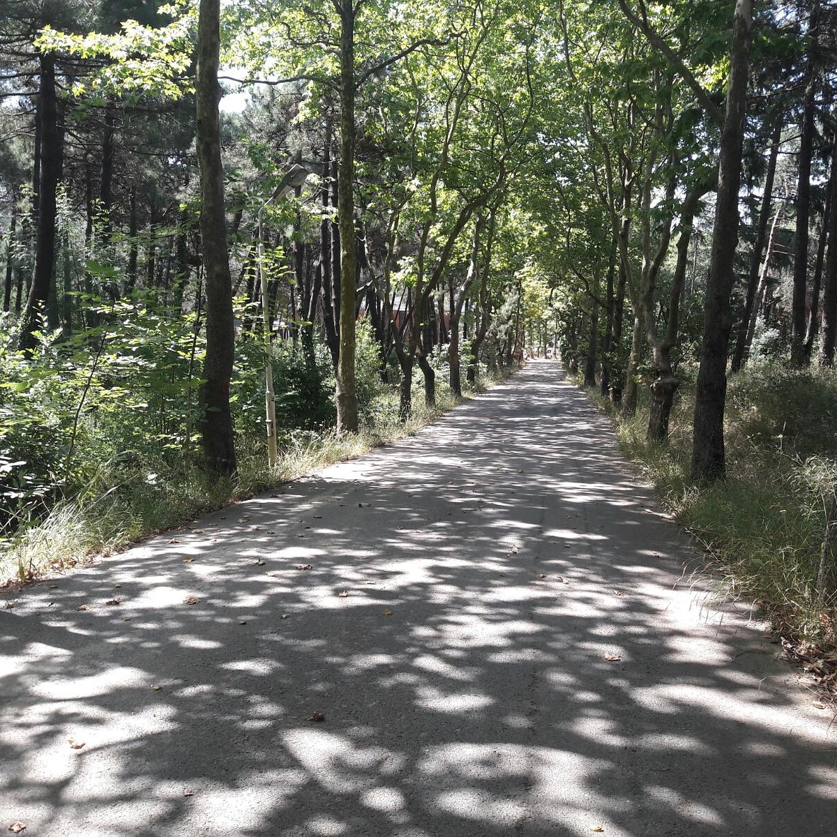 Şehrin içinde gizli kalmış güzellikler de var. ( <a href="/UniBogazici/">Boğaziçi Üni.</a> Kandilli Kampüsü)
#Universite #gezgin #blog