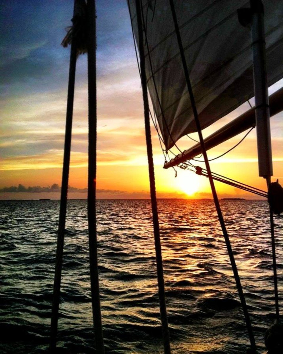 dangercharters tweet media