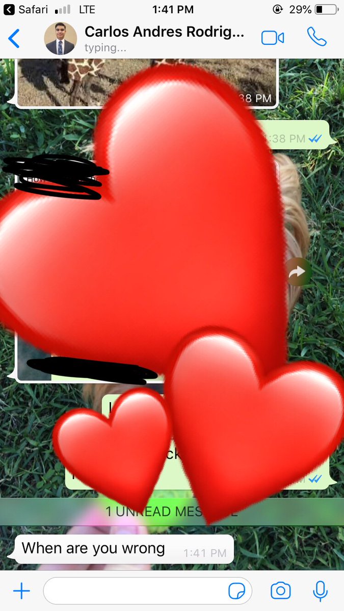 moon daisy ☾ tweet media