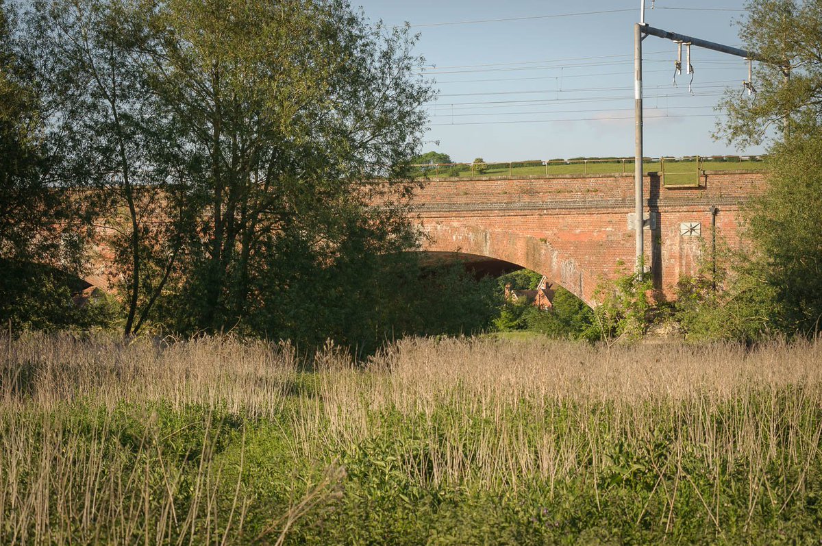 GGBC Gardening Club takes place on Wednesdays between 11.30 and 14.30. Bring your lunch!
Gardening sessions will also take place from 11.00 – 13.00 on the following dates:
10 August
14 September
12 October
9 November 
If you’re interested please let us know.