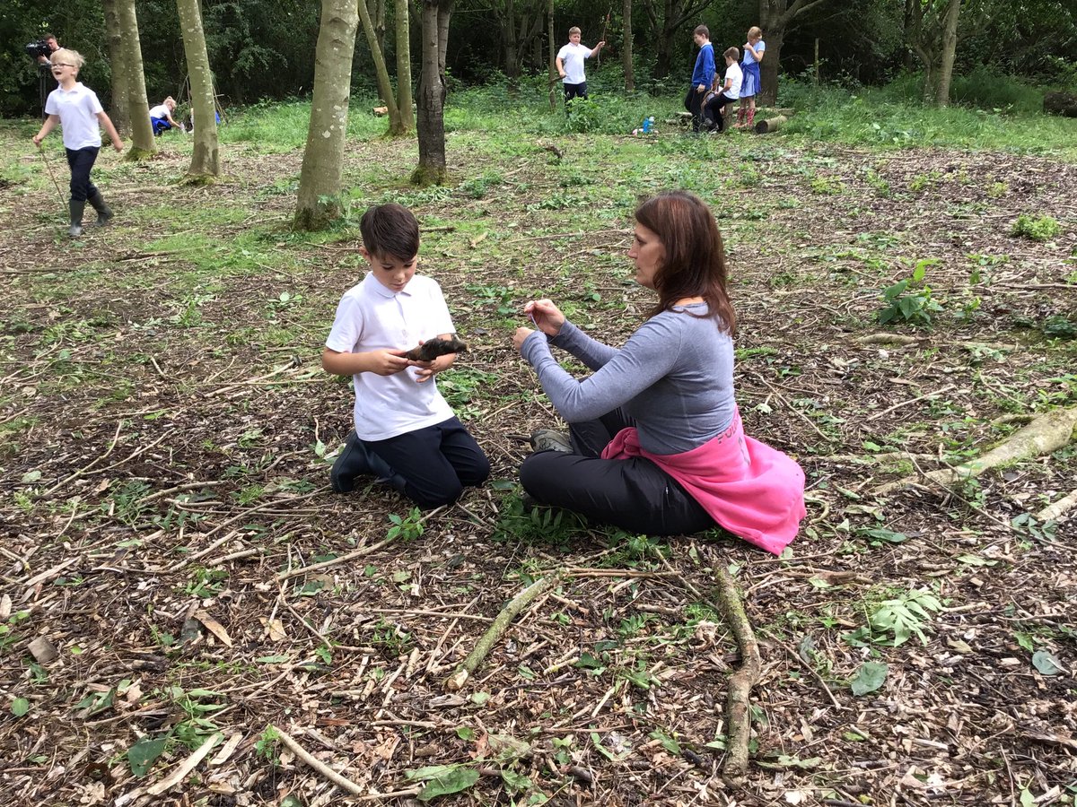 Griffydam Primary tweet media