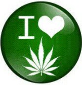 julluskush's tweet photo. #iamyourplug #thc #Cbd
#cannabislifestyle #weedlifestyle #Medicatedlifestyle #weedpluglifestyle #pluglifestyle #Plug #weed #WeedLover #weedsmokers
Me and home match #supreme #supremefits #ss19collection #slogo. @mjarsenal #dabs #710society #playingwithfire
+1 714 248 5721 https://t.co/QqsYAJXqt0