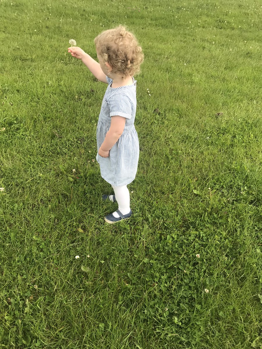 zoehull2012's tweet photo. #30dayswild #durhamwildlifetrust #day18 Found a dandelion clock which always makes us happy 😊 #postworkwalk Plenty of energy left!! @durhamwildlife https://t.co/Gyh2Y007nN