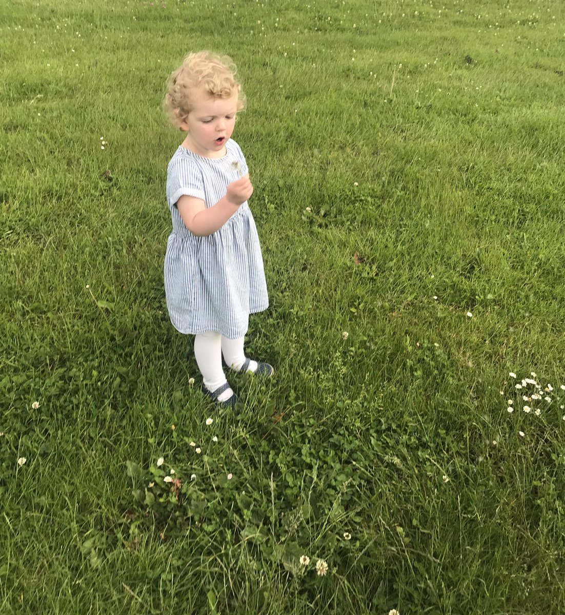 zoehull2012's tweet photo. #30dayswild #durhamwildlifetrust #day18 Found a dandelion clock which always makes us happy 😊 #postworkwalk Plenty of energy left!! @durhamwildlife https://t.co/Gyh2Y007nN