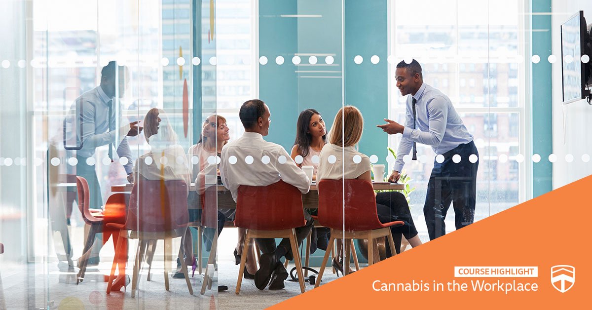 FoliEdgeAcademy's tweet photo. Cannabis in the Workplace is a course that is perfect for policymakers. This course explores employer responsibilities including duty to accommodate, managing problematic use &amp; dependence. Learn more about this course: https://t.co/p93UvV2sMx

#FoliEdgeAcademy #CannabisEducation https://t.co/EmuSxqFOp4