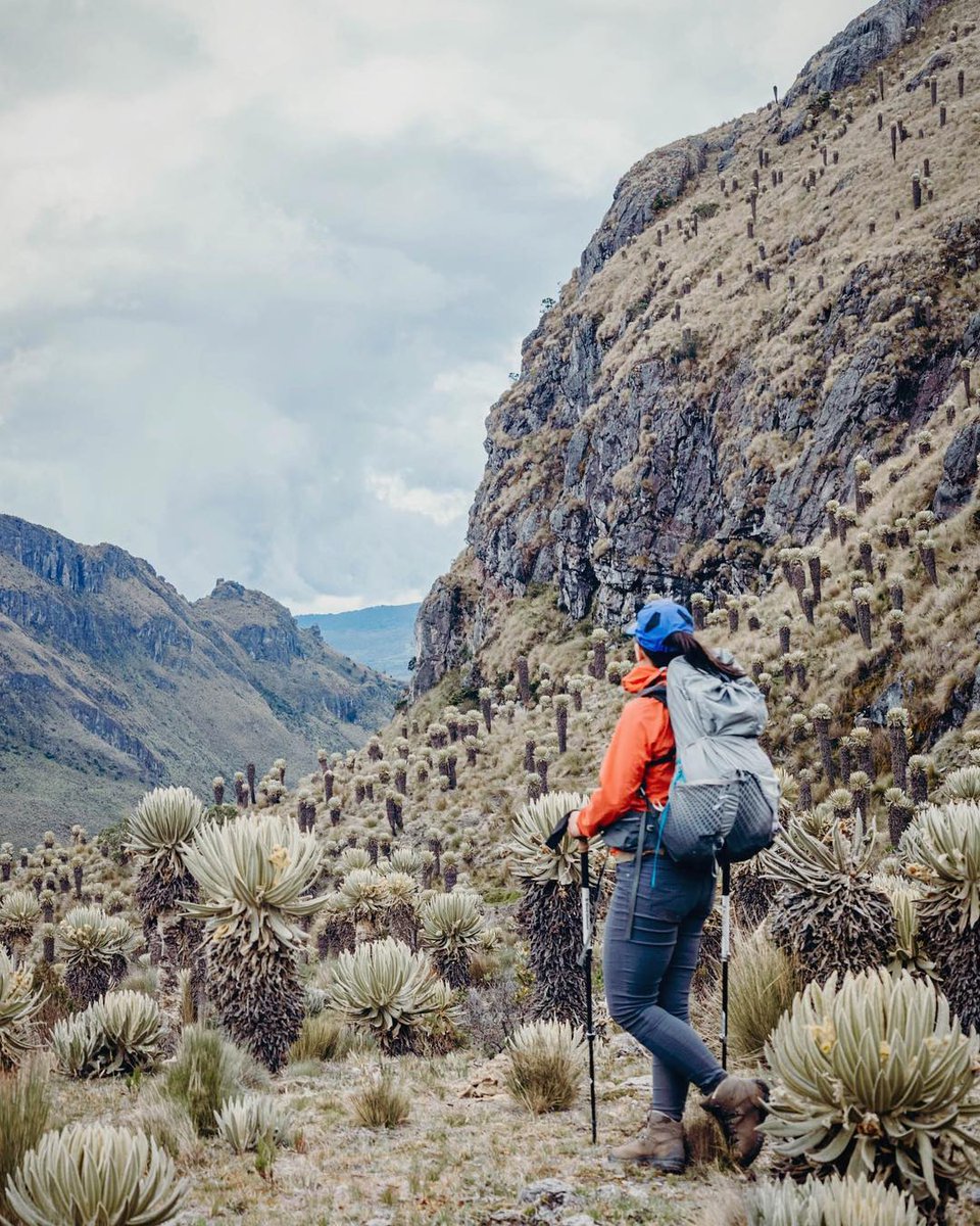 Hay nuevo Desafío SUDA! Esta vez queremos invitarte a limpiar Chile junto a #Hitec_chile en este TRASH CHALLENGE 
Solo debes unirte al desafío y recoger basura haciendo tu deporte favorito. Podrás ganar premios Hi-tec!! 
Link para el desafío:  suda.io/challenge/VGuJ…