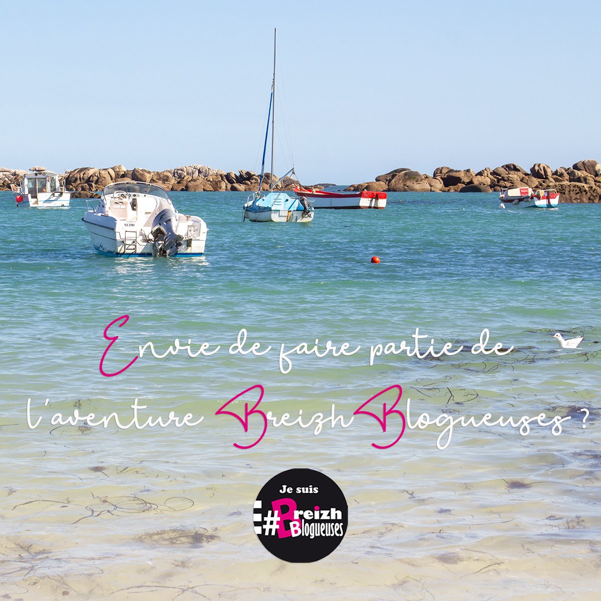 Vous bloguez &amp; valorisez la #Bretagne sur votre blog? Vous avez envie d'échanger avec d'autres blogueuses? Et si vous rejoigniez l'aventure #BreizhBlogueuses? Contactez-nous à l'adresse breizhblogueuses@gmail.com ou par MP avant le 10/07, pour nous faire part de votre motivation!