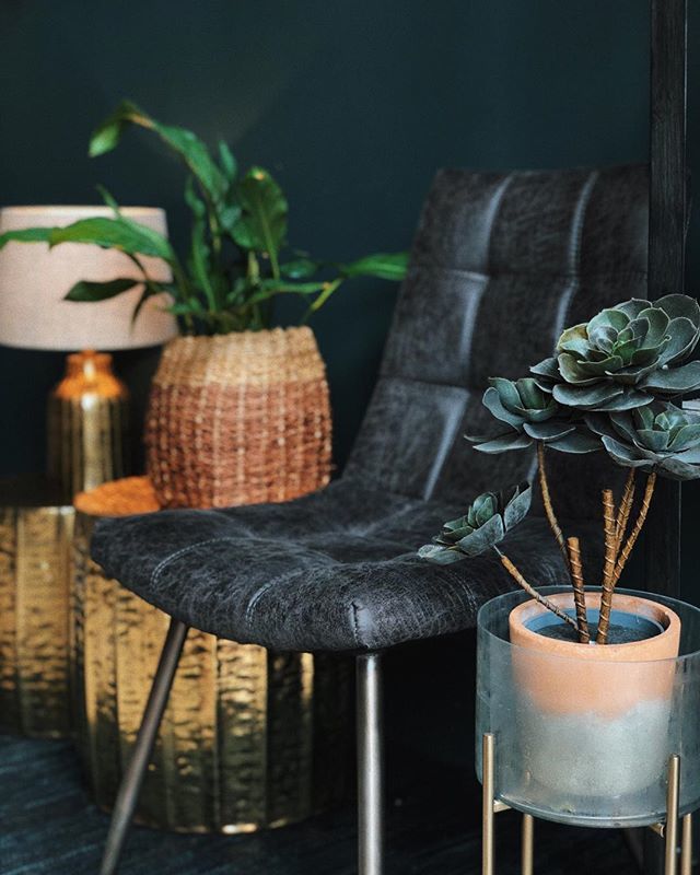 theforestandco's tweet photo. Dixie grey leather sale now in our Summer Sale. #greyleatherchair #summersale #furniture #kitchenchair #deskchair #goldtables #interiors #homefurnishings #theforestandco https://t.co/Oz07Bmmqcp https://t.co/W7KLtJwub4