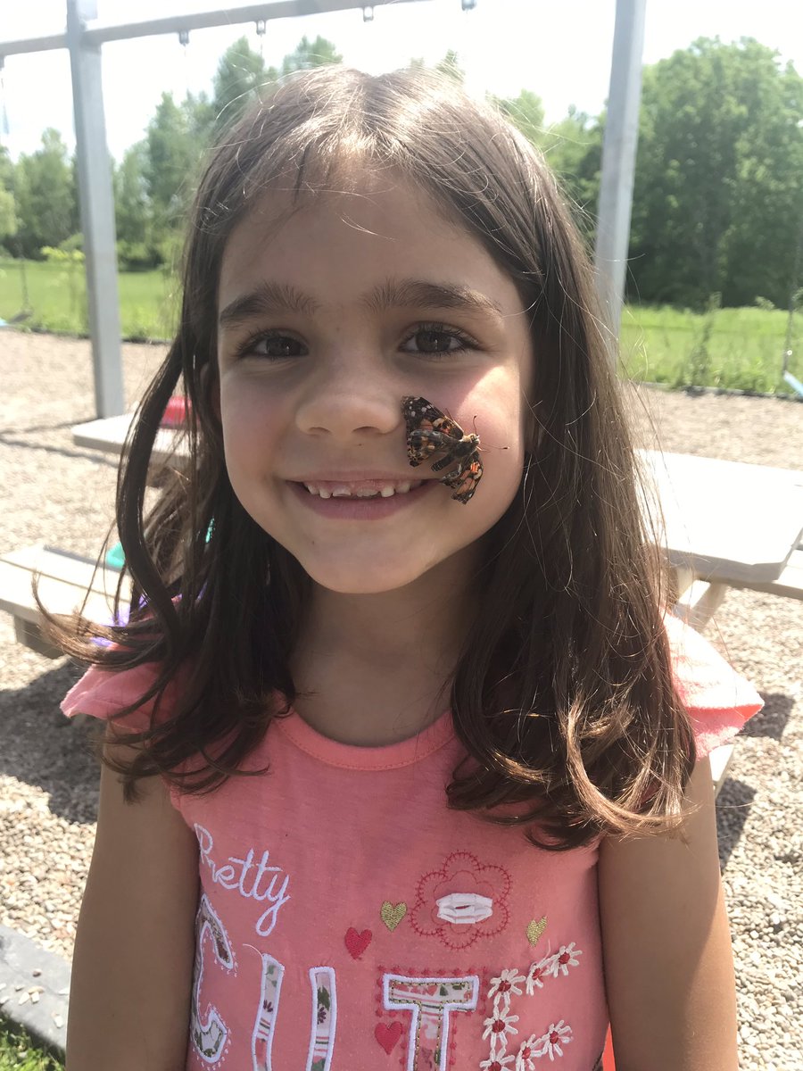 LisaFryFDS's tweet photo. A beautiful day to add plants and flowers to our butterfly garden and release the butterflies! @FDSPrincipal @AVRCE_NS @CreativeSTAR https://t.co/DXW1VDNbv0