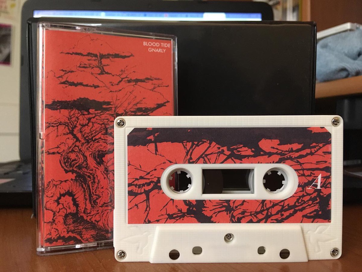 Matthew Zardoz tweet media