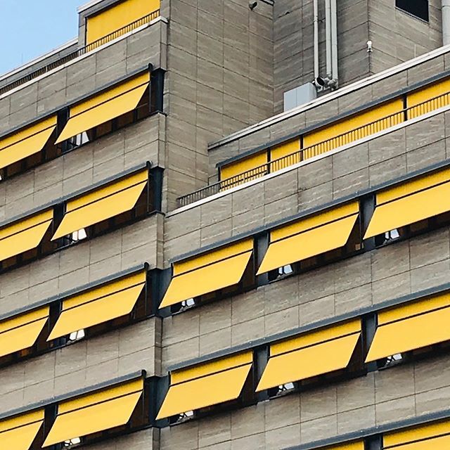 wingertsdaily's tweet photo. Wie geil ist das?! - Auf jeden Fall nen Fotostop wert 😉
Hotel LiV‘iN in der Seilerstrasse.
#ffm #frankfurt #frankfurtammain #igffm #igersfrankfurt #frankfurtdubistsowunderbar #gelb #yellow https://t.co/MMDxo74td1 https://t.co/L6AB0NkixA