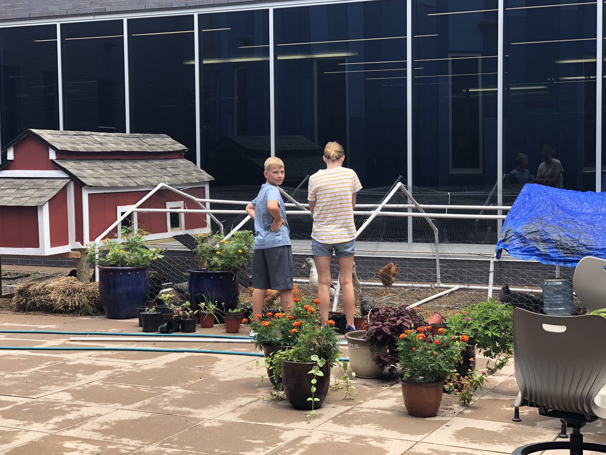 ShelbyMuha26's tweet photo. A solid perk of Aunt-run FACS camp...private chicken tour. #rooftopclassroom #bolyardkids #summerdaze https://t.co/TEYmNzaJbl