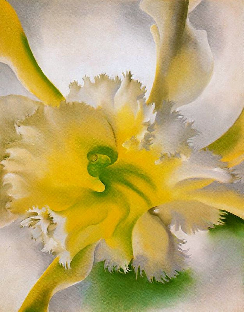 An Orchid, 1941 #femaleartist #okeeffe