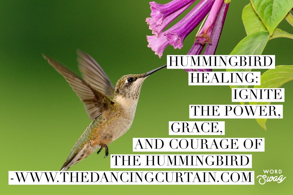 DancingCurtain's tweet photo. Are you struggling to overcome a chronic illness? Do you miss your old life: active social life, traveling, and laughing? Connect with hummingbird medicine! https://t.co/aGXH5gDMLe https://t.co/kfKyaKv2xX