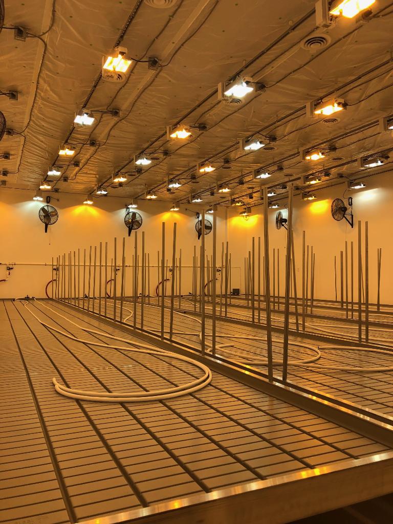 hawthornegc's tweet photo. Commercial Lighting Layout? We got you! Send us a DM if you need a lighting layout 👊
@phatpanda getting geared up to start another stellar run
Facility Cred: @phatpanda
#hawthorne #phatpanda #yourfire #ourfuel #gavita #gavitagrown #sunsystem #lightingexperts #commercial https://t.co/xynv2AQgpO