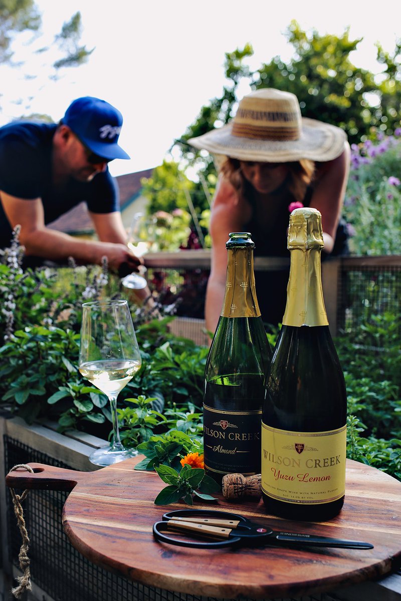 Plant Parents unite! Time to ‘celebrate the little things’ with Wilson Creek sparkling wine and turn watering day chores into cheers! A few tips on how to make caring for your plants FUN up on the blog today: dinexdesign.com/blog/plant-car… <a href="/Wilson_Creek/">Wilson Creek Winery</a> #GoOnCelebrate #ad