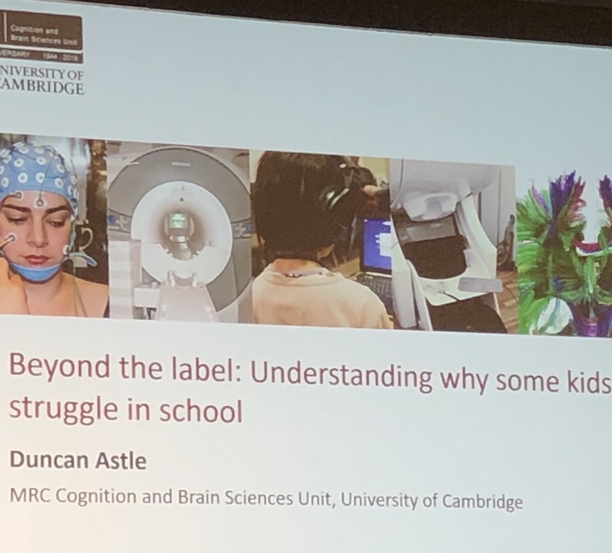 peter mather tweet media