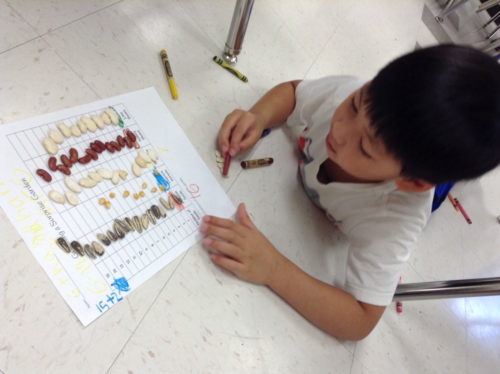 tranq084's tweet photo. Sorting and graphing seeds for a secret garden, our kiddos rocked this activity. Great skills set for our SAGE K. Kids enjoyed counting and sorting their seeds. Keep up the great work!!! #EASAGE_CFB #cfbisd #cfbmatterstome https://t.co/XXUt2W2HTu