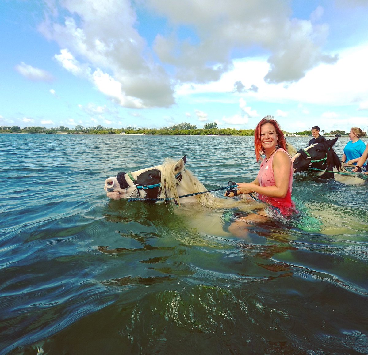 Hannah Jackson tweet media