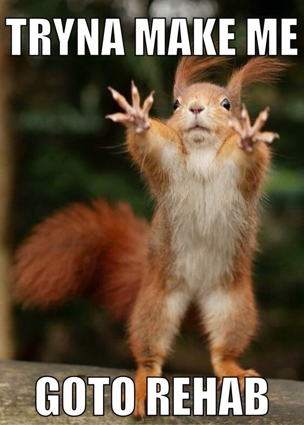 attacksquirrel2's tweet photo. I say no no no #meth #attacksquirrel https://t.co/uBShNMJBeS