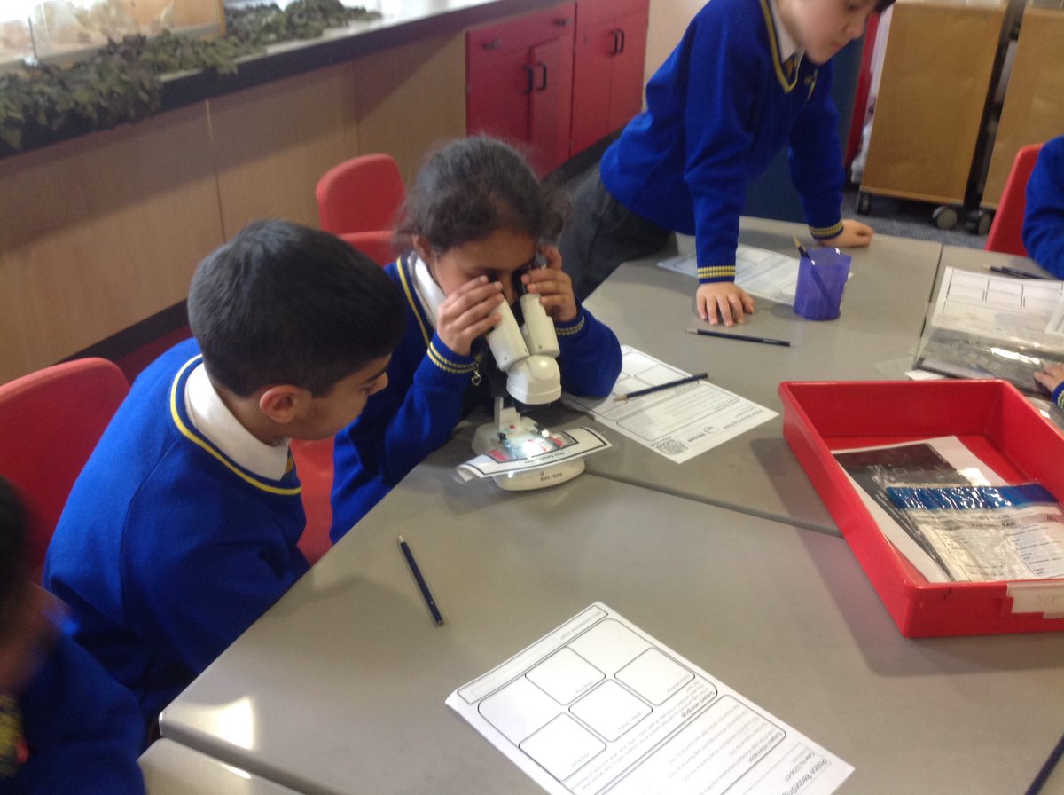 StPetersNewman's tweet photo. Year enjoyed visiting @thinktankmuseum and being forensic investigators #crimesceneinvestigators #wesolvedit https://t.co/I33czyBTXP
