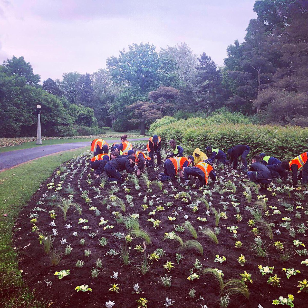 Strathmorepro's tweet photo. Les tulipes emblématiques du Canada se transforment en spectaculaires jardins de fleurs annuels pour l’été. On a hâte de voir le résultat! https://t.co/Dod2aVDWqz