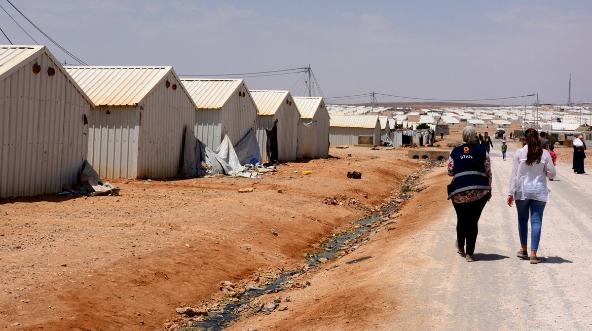 Darcy Knoll tweet media