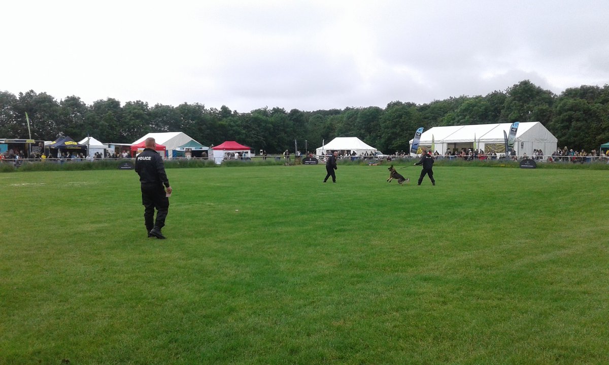 Good to see <a href="/LincsPoliceK999/">Lincolnshire Police Dog Section</a> <a href="/lincsshow/">Lincolnshire Show</a>, the dogs looked to be enjoying themselves #LincsShow19. Fantastic display.