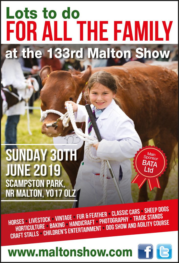 Handy Mag tweet media