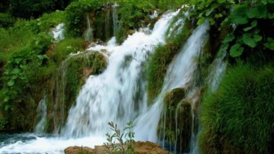 مساء.الخير