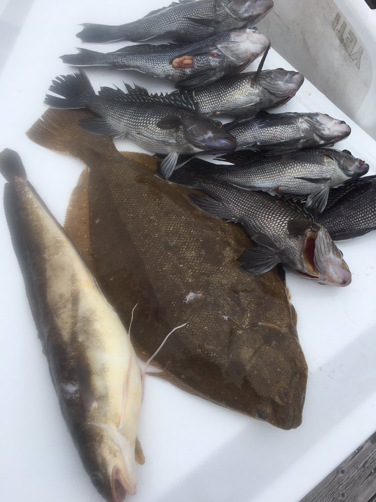 All hail the summer in SJ