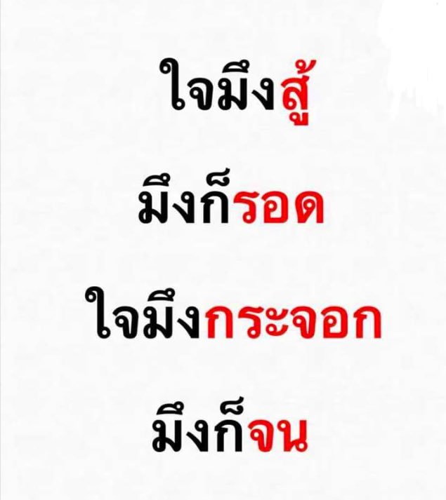 D I O N ยูโน๊ว tweet media