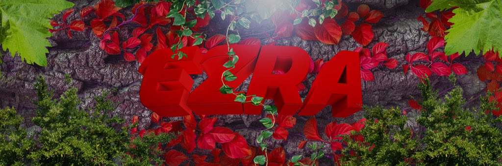 VycezFN's tweet photo. @EzraOps Made this for you https://t.co/COt17NdTvf