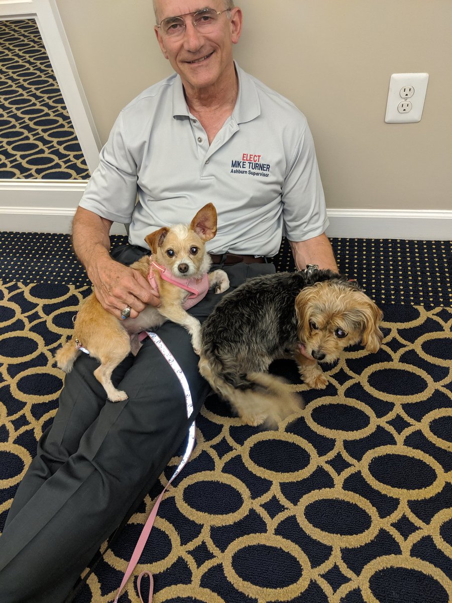 Our second contestant(s) for Ashburn Dog O'The Week...Chloe (lap) and Sammy!