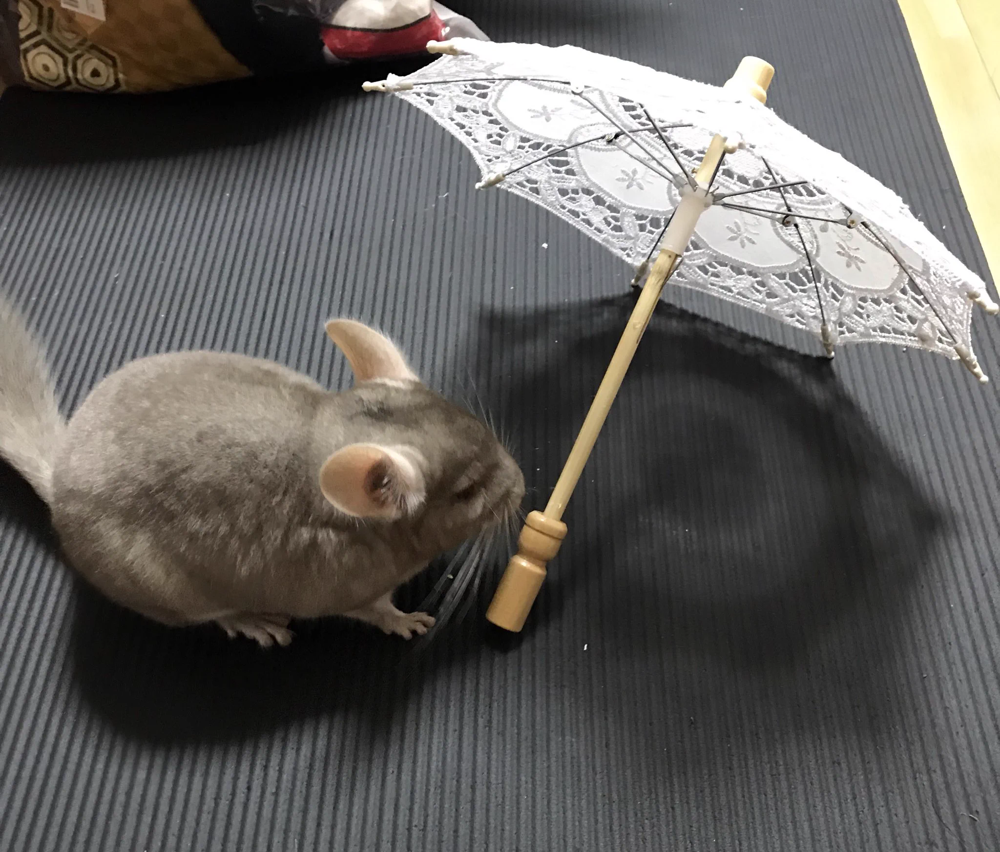 ネットショッピングあるあるだけどさ…これは勘違いするよねww