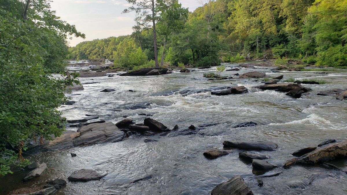 Dwight Hutson 🇬🇾👨🏿‍🏫📸🎙 tweet media