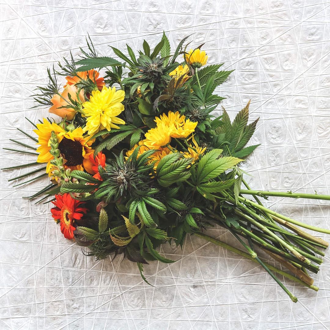 Flowers are everywhere 
#colorado #colorfulcolorado  #denver  #denvercolorado #trinidadcolorado  #pueblocolorado #cannabislife  #cannabisculture #cannabissociety  #cannabislifestyle #cannabis420  #cannabisdaily #straincentral  #cannabiscup