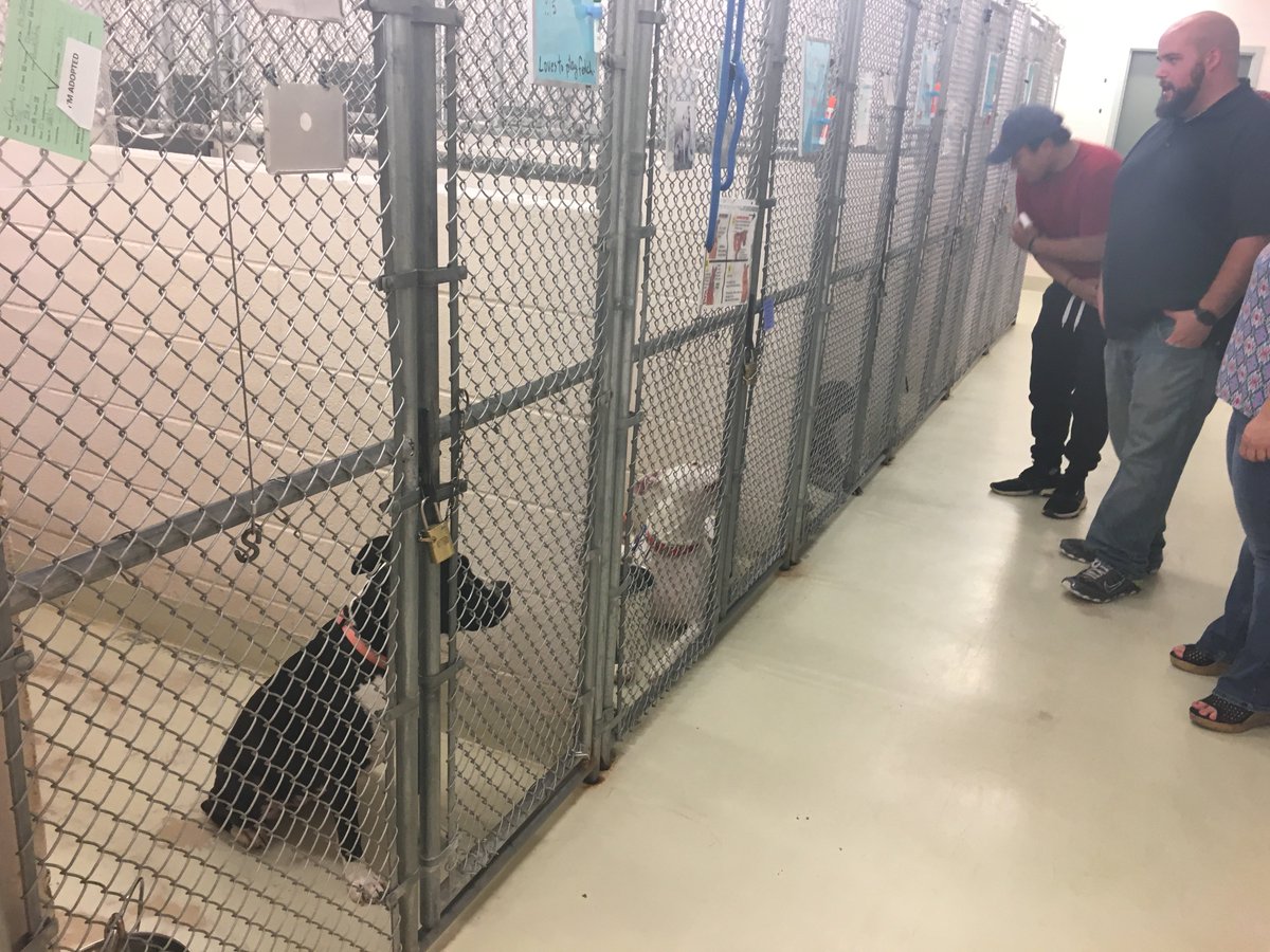 ACDiTechnology's tweet photo. We wrapped up our #ipccares initiative today with a delivery to the Frederick Animal Shelter. And we met some friends. @IPCassociation https://t.co/oeZFuh4gPV