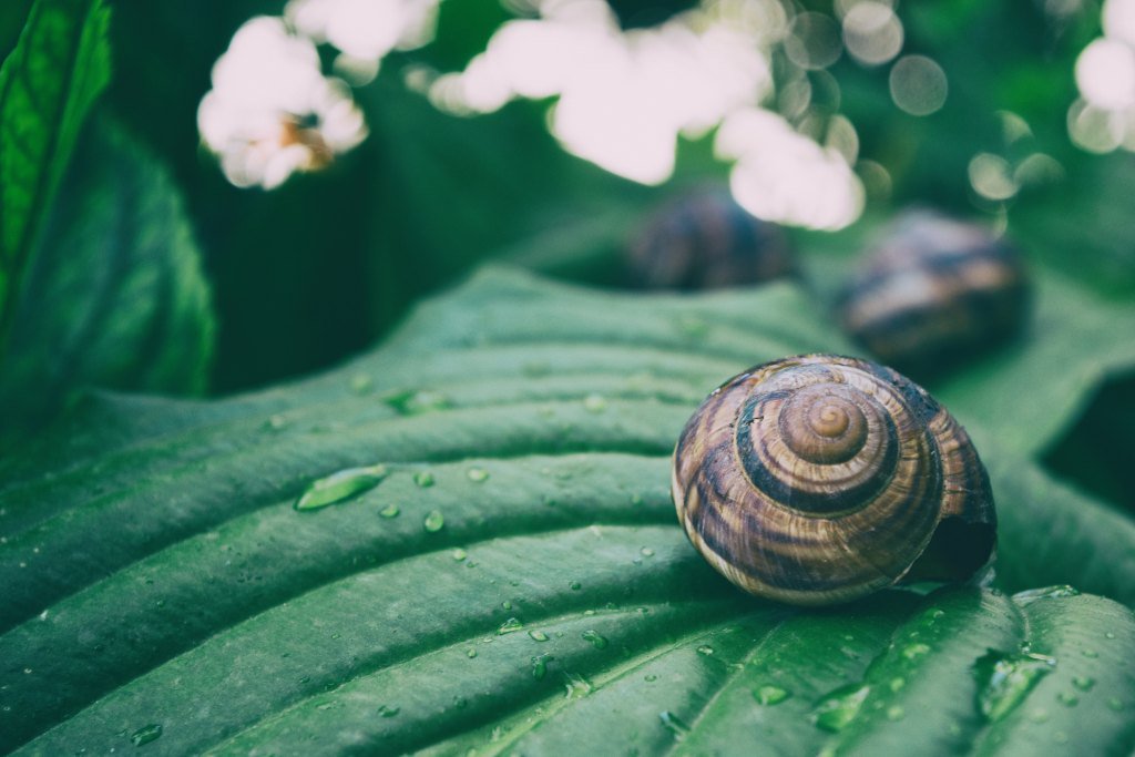 Take a breath and go slow eightcircles.co/2019/06/19/tak…