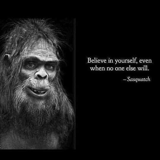 AuthorStJean's tweet photo. For those who dare to create.  #amwriting  https://t.co/lvp2yt3RK0 https://t.co/bXnAkGlvdt