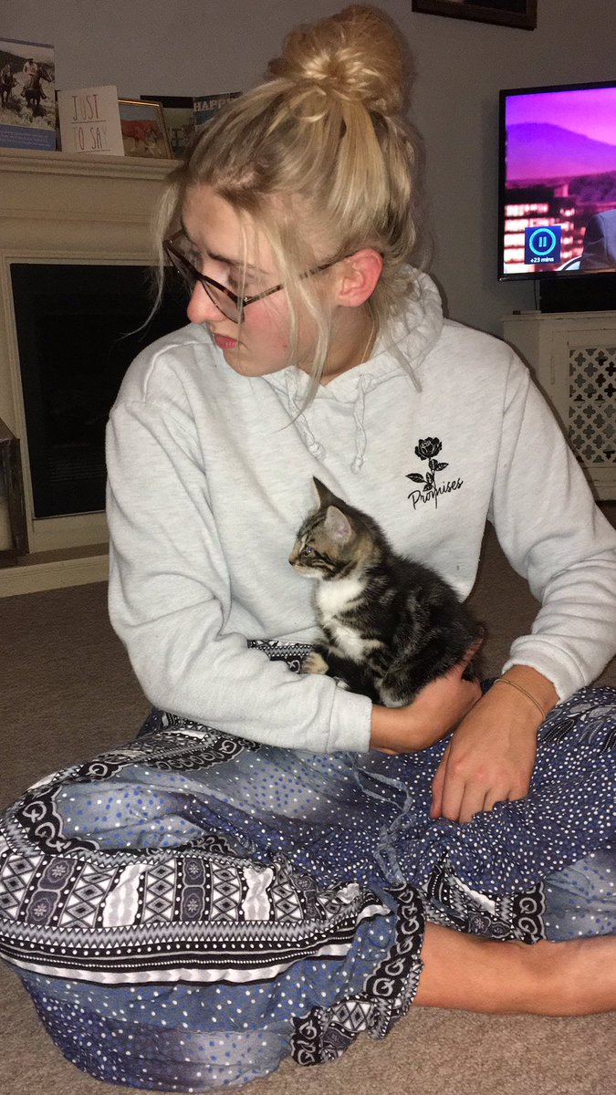 ACSymons's tweet photo. Got @meg_champney a kitten for her early birthday present 🎁 https://t.co/YQFxsajPF8