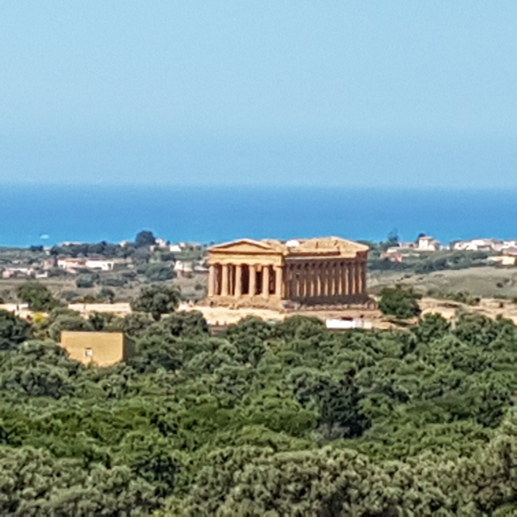 Visiting the garden of Diodoros theitalianwinejob.wordpress.com/2019/06/19/vis…