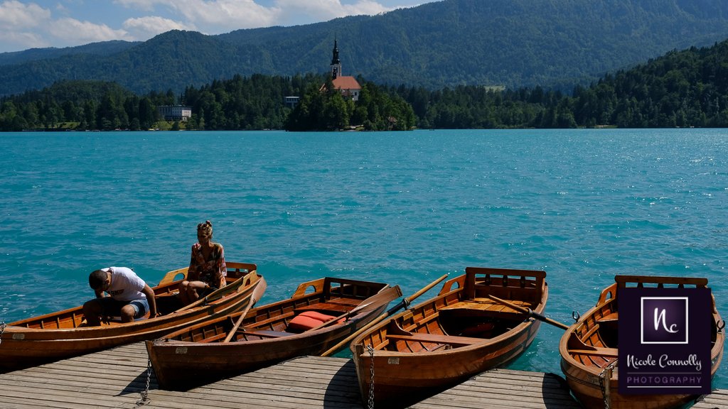 TODAY'S PIC: Perfect day for a romantic boat trip on Lake Bled where blue waters compete with blue skies. 

#discoverearth #topsloveniaphoto #sloveniawonders