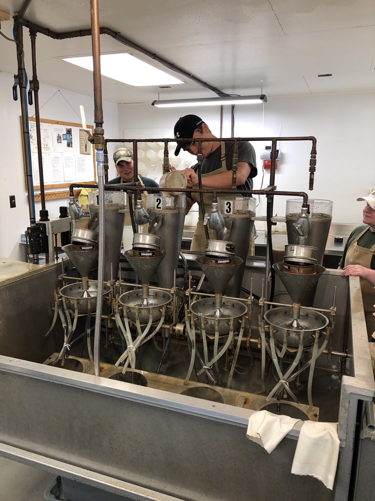 The <a href="/MUExtension/">MU Extension</a> #fieldcrop #plantpath lab teamed up with <a href="/SCNdiagnostics/">SCN Diagnostics</a> this week to give interns Danny and Isaac hands on experience working with nematodes. Lots of mud, but a good experience had by all! #nematology #SCN <a href="/MizzouIPM/">Mizzou IPM</a> @MUturfpath <a href="/RobKallenbach/">Robert Kallenbach</a> <a href="/MUPlantSciences/">MU Plant Sciences</a>