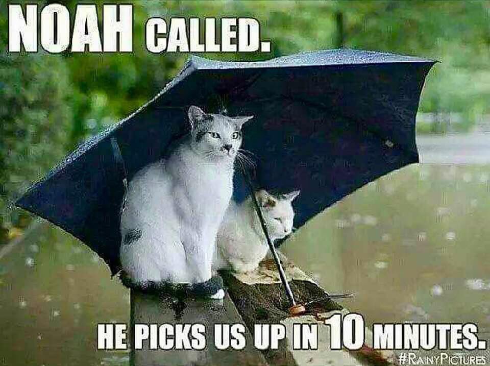Honestly!  Give it up Mother Nature! We get it! #rain #RainyDay #rainpleasestop #buildanarc #noahsarc #storms