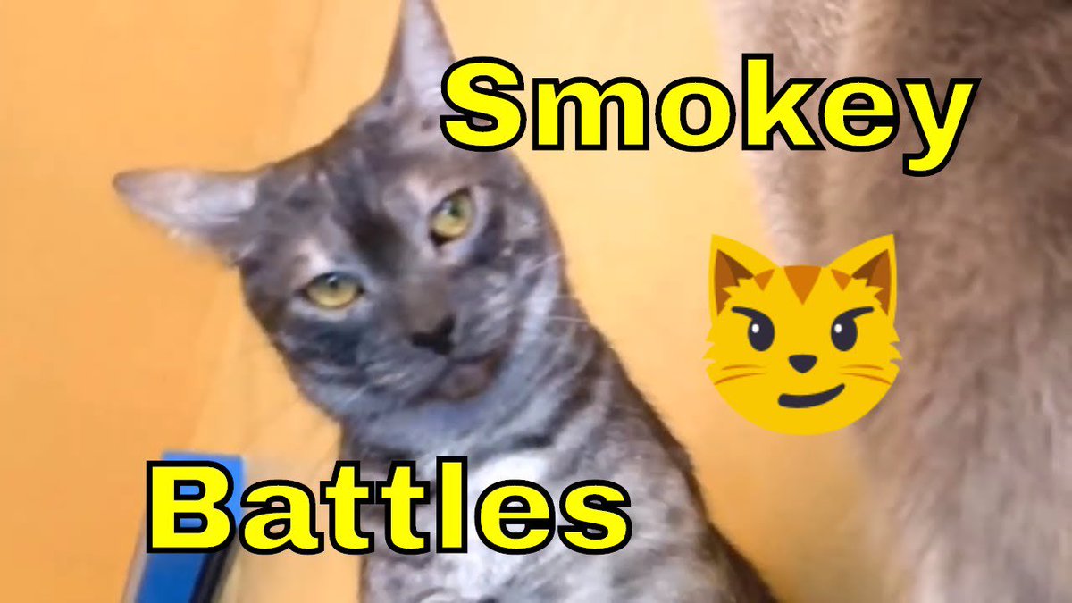 ZenByCat's tweet photo. Check out my latest video "Smokey battles and other cool cats"
#EndFIP #HouseOfNekko #FIPWarrior #FIP
Watch Now: https://t.co/U6pWozZwUO https://t.co/HzMfEbngy9
